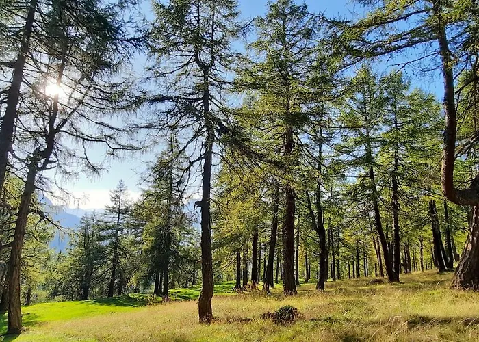 Peer アパート ノイシュティフト・イム・シュトゥーバイタール