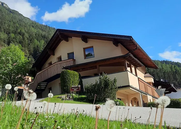 Peer نيوستيف ام ستوبيتا