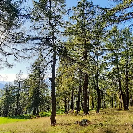 Peer דירה ניוסטיפט אים סטובאיטל