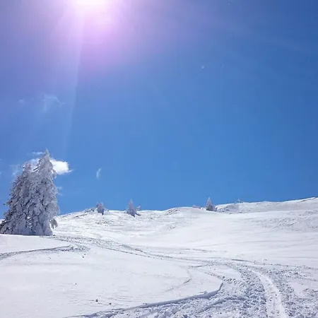 Apartmán Peer Neustift im Stubaital