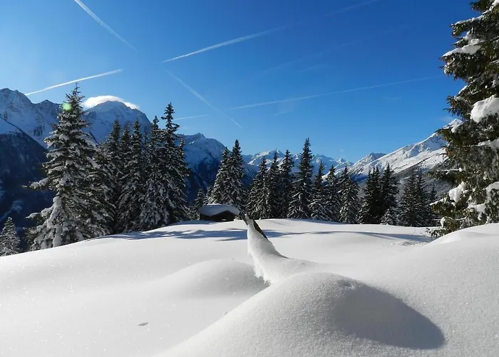 Διαμέρισμα Peer *