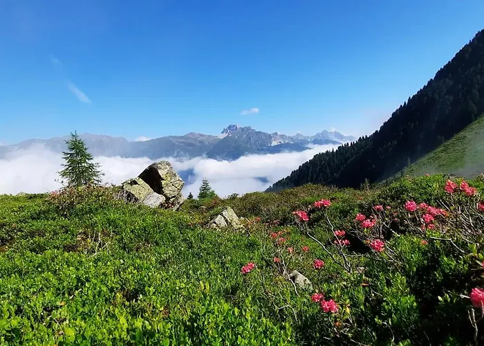 Διαμέρισμα Peer