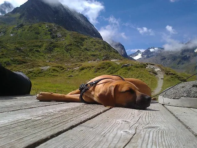 Peer Διαμέρισμα *